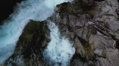 Güzel orman ve dere 