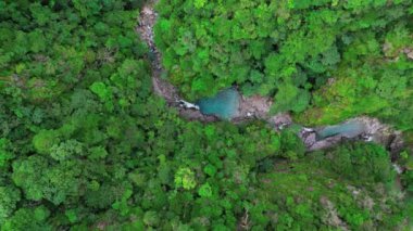 Güzel orman Nehri ile havadan görünümü