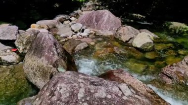 Su akıntısı olan güzel bir orman 