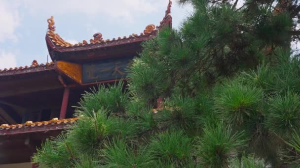 Çin Deki Güzel Hsitorik Tapınak — Stok video