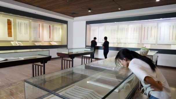 Interior Del Museo Histórico China — Vídeos de Stock