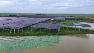 Kırsal kesimdeki birçok güneş panelinin havadan görüntüsü