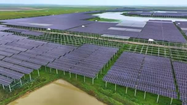 Luftaufnahme Einer Modernen Solaranlage Mit Sonnenkollektoren Auf Dem Land — Stockvideo