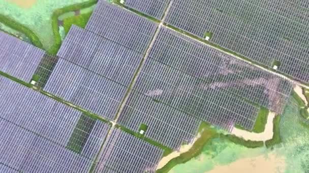 农村许多太阳能电池板的航拍图 — 图库视频影像