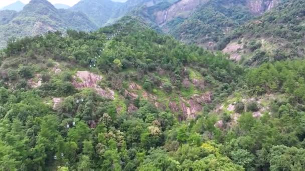 Luftaufnahme Von Dichtem Wald Tropischer Natur — Stockvideo