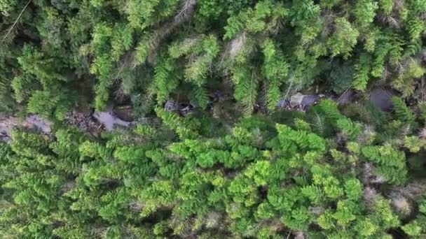 Letecký Pohled Vodopád Džungli Tropická Příroda — Stock video