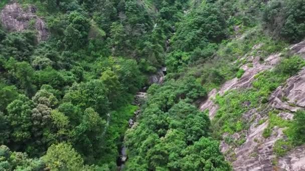 Luftaufnahme Des Wasserfalls Dschungel Tropische Natur — Stockvideo