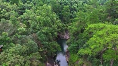 Ormandaki nehrin güzel hava manzarası