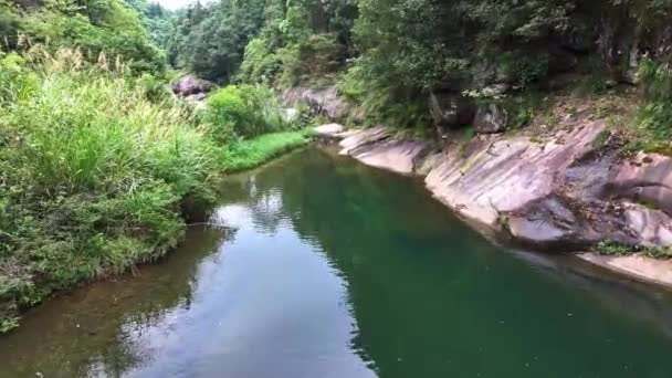 Όμορφη Θέα Του Ποταμού Στο Δάσος — Αρχείο Βίντεο