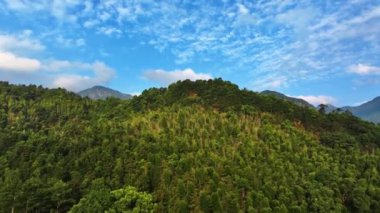 Yeşil ormanla kaplı dağ sırasının manzarası 