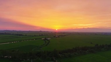 Pirinç tarlasının güzel günbatımı manzarası