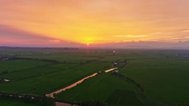 Güzel günbatımı manzarası ve kırsaldaki pirinç tarlaları.