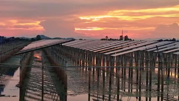 Panele Słoneczne Zainstalowane Nad Jeziorem Wody Widok Powietrza Niesamowity Widok — Wideo stockowe