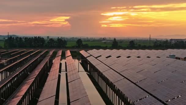 Luftaufnahme Des Solarkraftwerks Sonnenkollektoren Bei Sonnenuntergang — Stockvideo