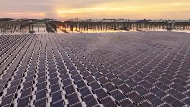 Sonnenkollektoren Über Dem Seewasser Installiert Luftaufnahme Erstaunlicher Blick Auf Die — Stockvideo