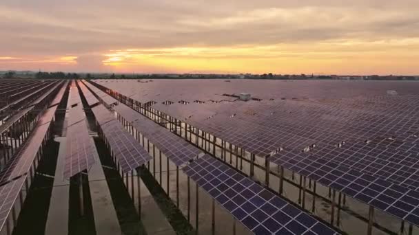 Sonnenkollektoren Über Dem Seewasser Installiert Luftaufnahme Erstaunlicher Blick Auf Die — Stockvideo