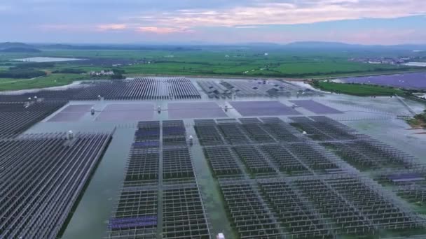 Luftaufnahme Vieler Sonnenkollektoren Auf Dem Land — Stockvideo