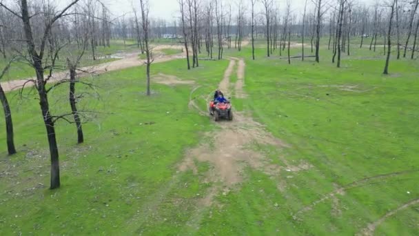 Pria Mengendarai Sepeda Quad Hutan Musim Semi — Stok Video