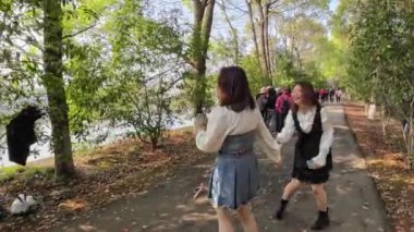 çiçek ağaçlarıyla dolu bir bahar parkı.