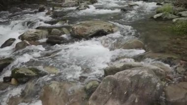 dağ nehir orman içinde taş olan