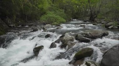dağ nehir orman içinde taş olan