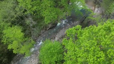 Ormandaki nehrin havadan görünüşü