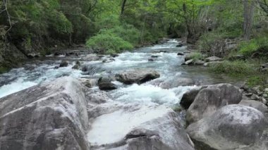 Ormandaki nehirdeki kayaların üzerinden akan dere suyu.