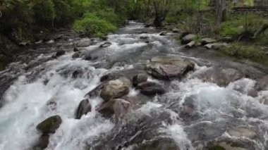 dağ nehir orman içinde taş olan