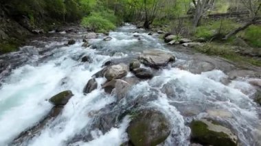 dağ nehir orman içinde taş olan