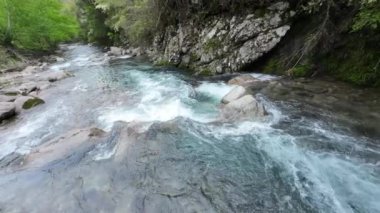 dağ nehir orman içinde taş olan