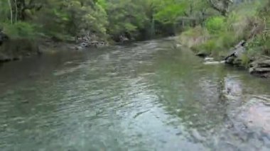 dağ nehir orman içinde taş olan