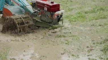 Su tarlasında eski paslı bir makine