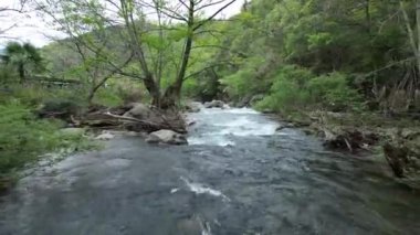 dağ nehir orman içinde taş olan