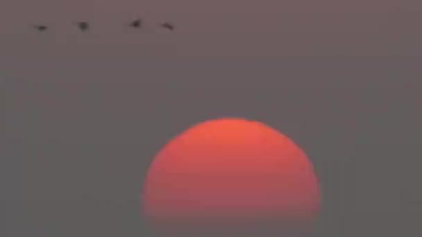 Gün Batımında Güzel Kırmızı Güneş — Stok video