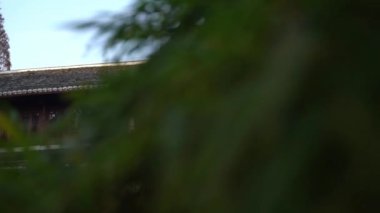 Çin 'deki güzel geleneksel tapınak