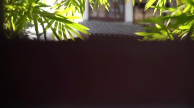 Çin 'deki geleneksel tapınağın yanındaki güneşli bahçe. 