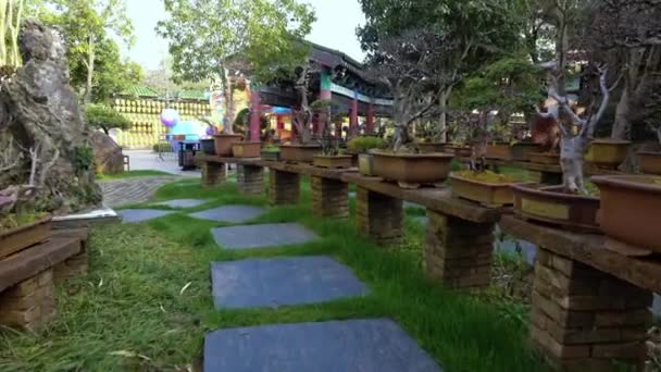 Taman Yang Indah Kuil Tradisional Cina — Stok Video
