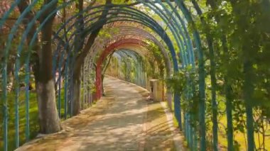 Sıcak bir günde güzel bir park