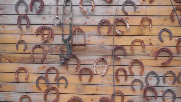 Iron Horseshoes Wooden Wall — Stock Video