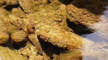 Büyük taşlı berrak su