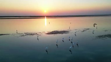 Gün batımında güzel göl manzarası