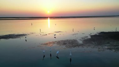 Gün batımında güzel göl manzarası