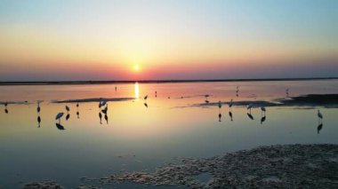 Gün batımında güzel göl manzarası