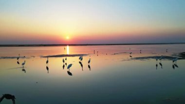 Gün batımında güzel göl manzarası