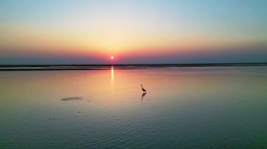 Gün batımında güzel göl manzarası 