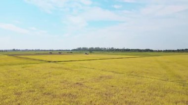 Kırsal kesimdeki tarım alanlarının havadan görünüşü