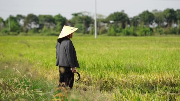 亚洲农民在绿地上行走 — 图库视频影像