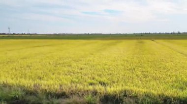 Tarım alanlarının havadan görünüşü