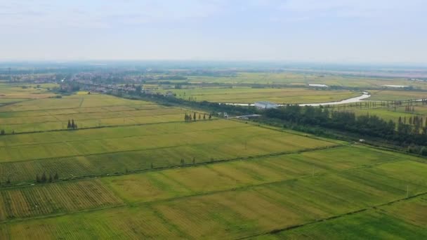 Vista Aérea Los Campos Agrícolas — Vídeo de stock