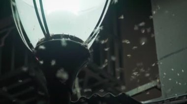 Geceleri lamba ışığında sivrisinekler, yaklaşın. 